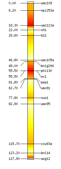 example of precision graphical genotype